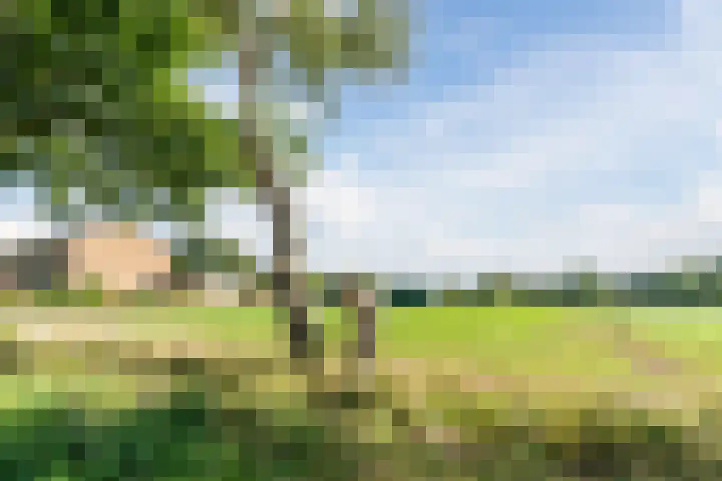 Perebomenweg 72 Nieuwlande thumbnail 41