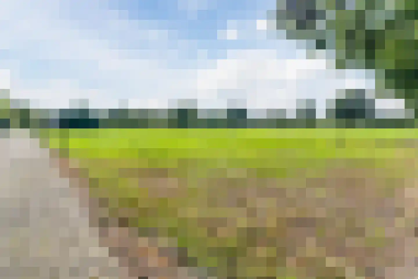Perebomenweg 72 Nieuwlande thumbnail 44