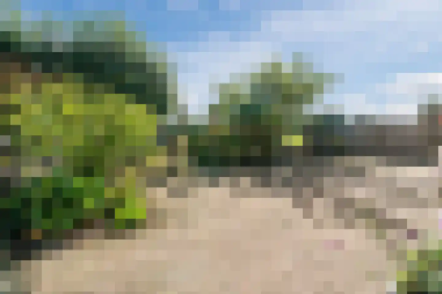 Perebomenweg 72 Nieuwlande thumbnail 6