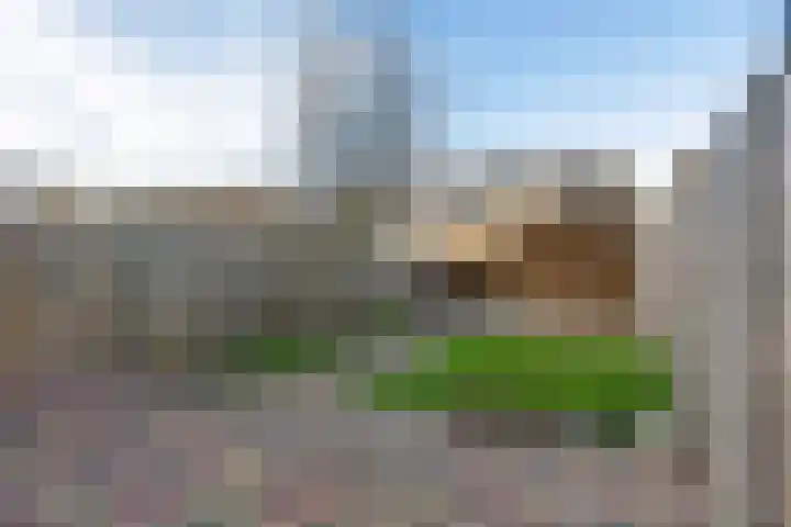 Pereboomweg 61 Almere thumbnail 31