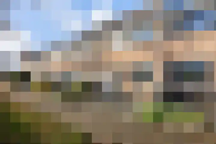 Pereboomweg 61 Almere thumbnail 34