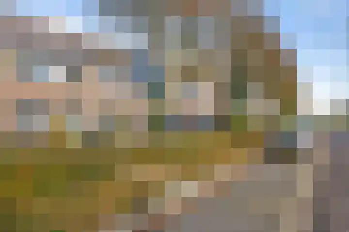 Pereboomweg 61 Almere thumbnail 36
