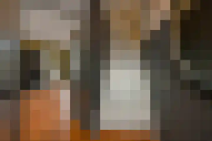 Peregaard 16 Elst thumbnail 10