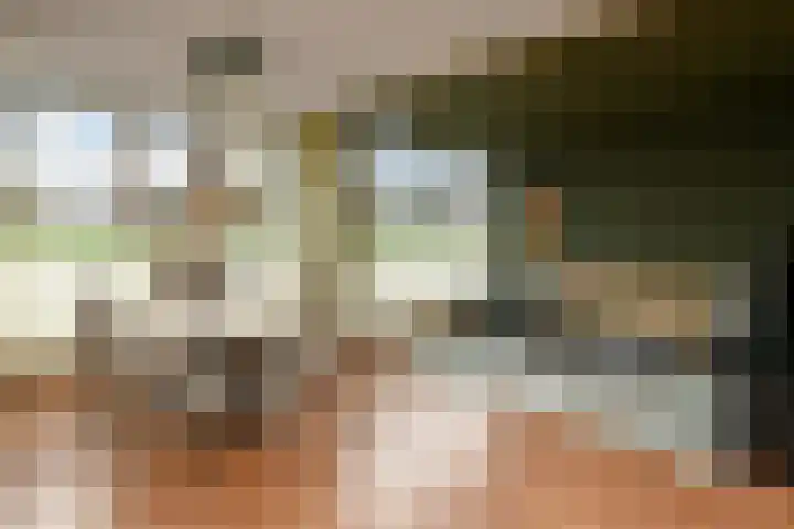 Peregaard 16 Elst thumbnail 13