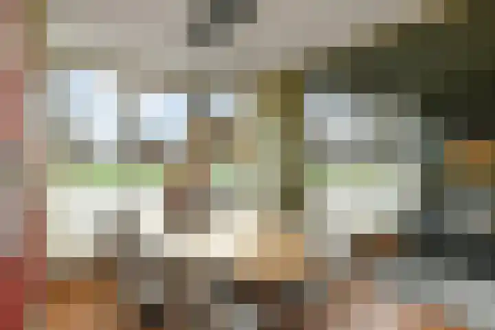 Peregaard 16 Elst thumbnail 14