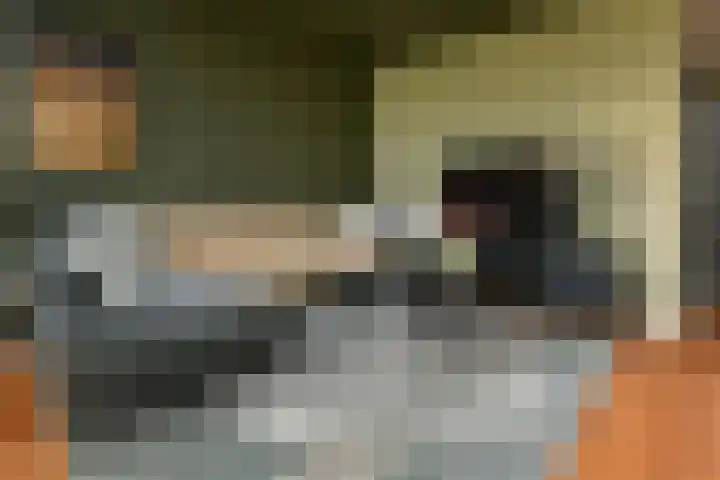 Peregaard 16 Elst thumbnail 16