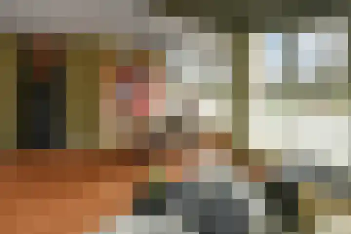 Peregaard 16 Elst thumbnail 18