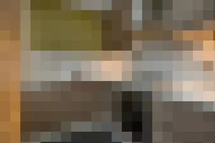 Peregaard 16 Elst thumbnail 23