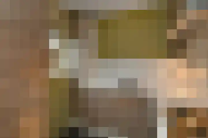 Peregaard 16 Elst thumbnail 24