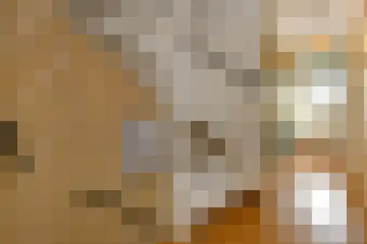Peregaard 16 Elst thumbnail 26