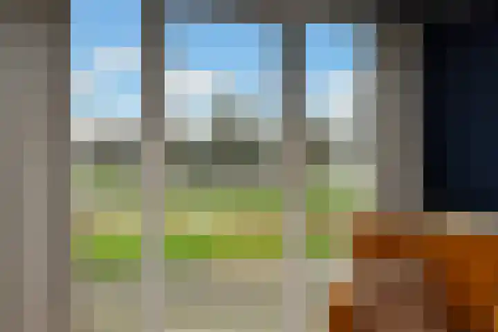 Peregaard 16 Elst thumbnail 28