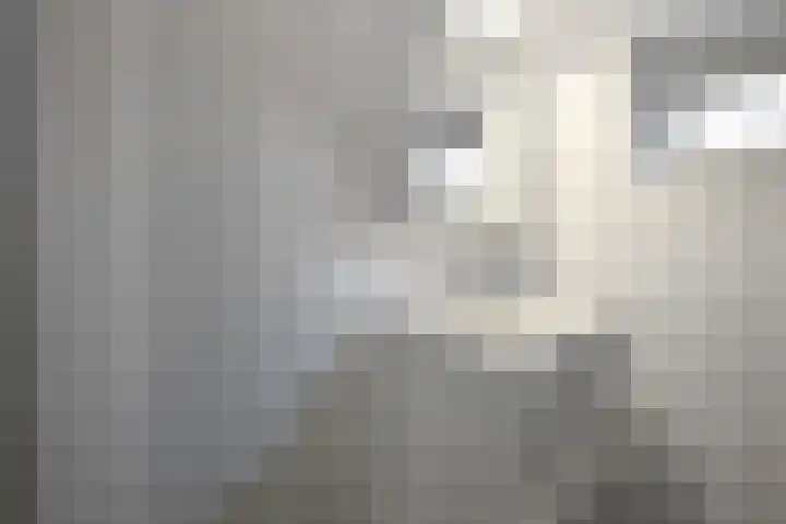 Peregaard 16 Elst thumbnail 33