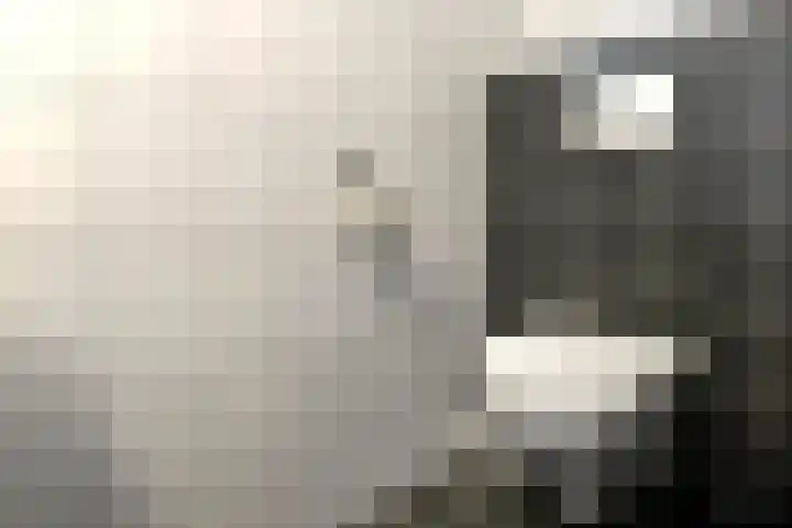 Peregaard 16 Elst thumbnail 34