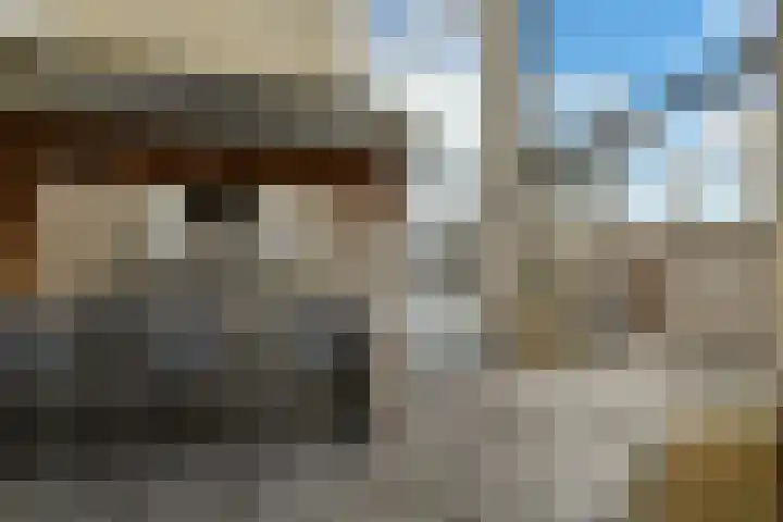 Peregaard 16 Elst thumbnail 41