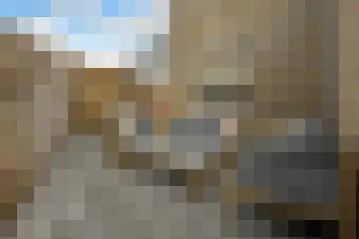 Peregaard 16 Elst thumbnail 43