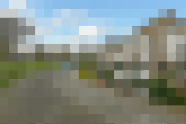 Peregaard 16 Elst thumbnail 5