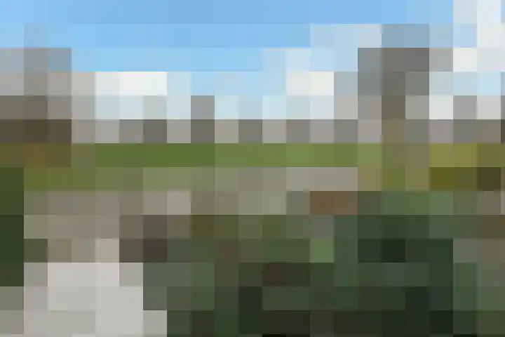Peregaard 16 Elst thumbnail 8
