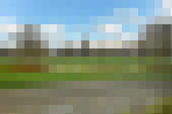 Peregaard 16 Elst thumbnail 9