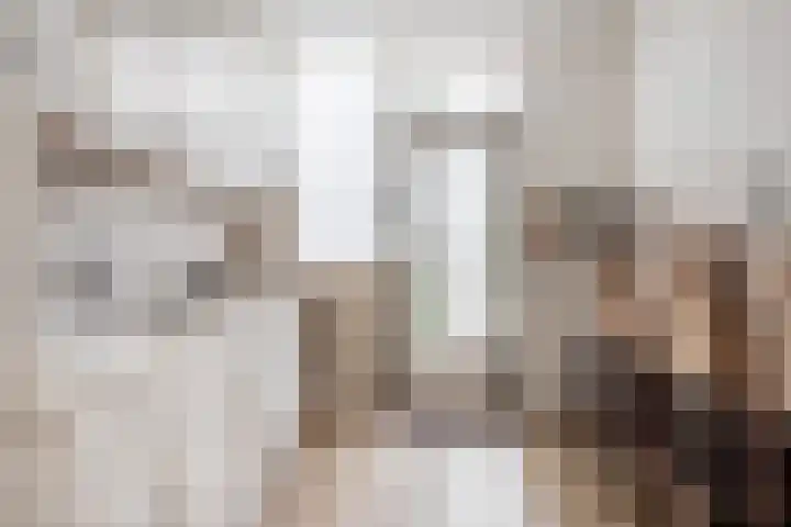Peregaard 16 Zwaag thumbnail 16