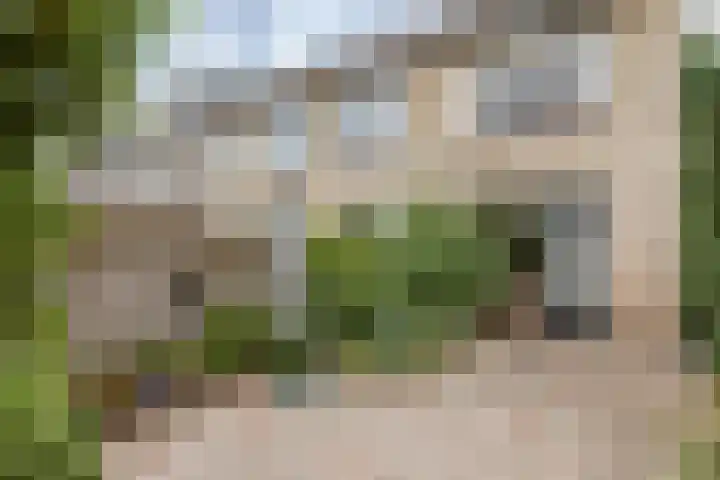 Peregaard 16 Zwaag thumbnail 30