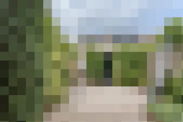 Peregaard 16 Zwaag thumbnail 32