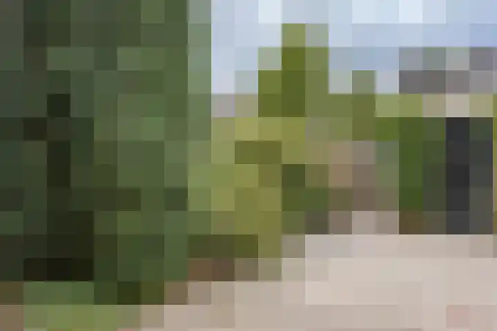 Peregaard 16 Zwaag thumbnail 33