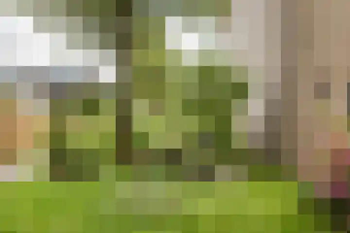 Peregaard 16 Zwaag thumbnail 35