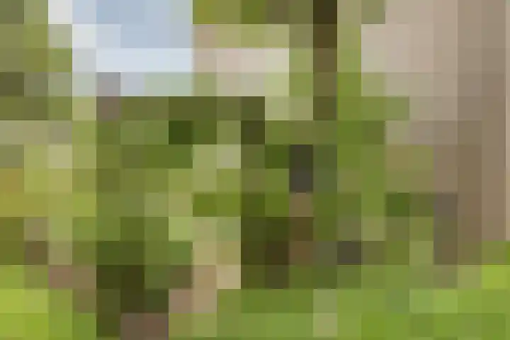 Peregaard 16 Zwaag thumbnail 36