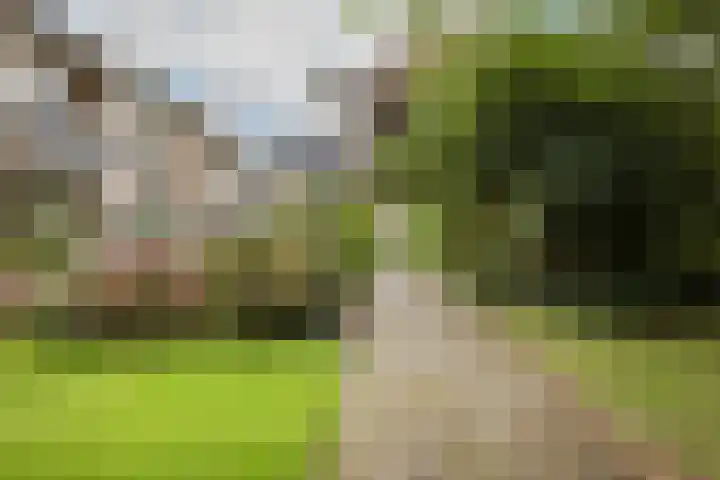 Peregaard 16 Zwaag thumbnail 37