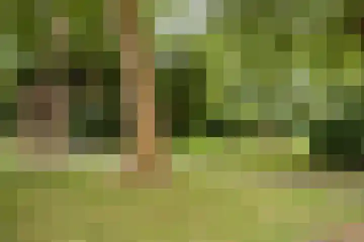 Peregaard 16 Zwaag thumbnail 38