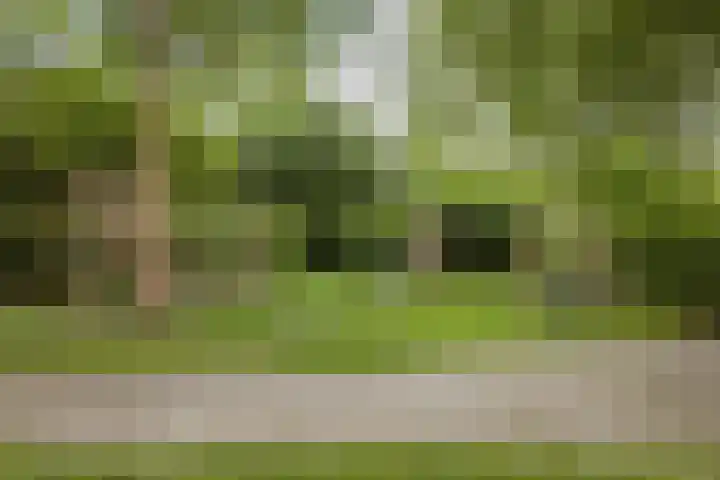 Peregaard 16 Zwaag thumbnail 39