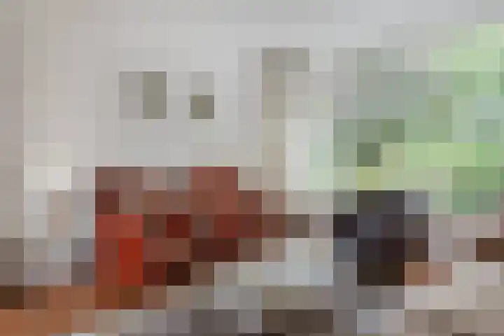 Peregaard 16 Zwaag thumbnail 4