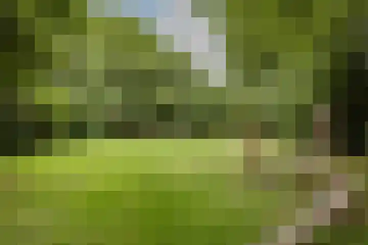 Peregaard 16 Zwaag thumbnail 40