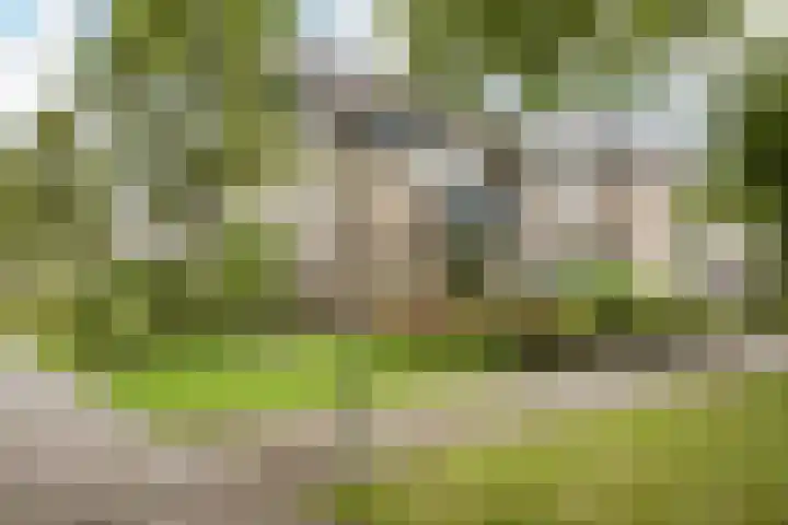 Peregaard 16 Zwaag thumbnail 46