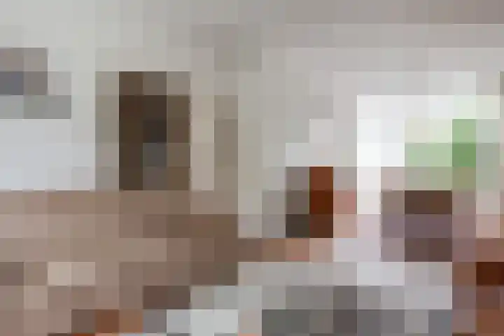 Peregaard 16 Zwaag thumbnail 5