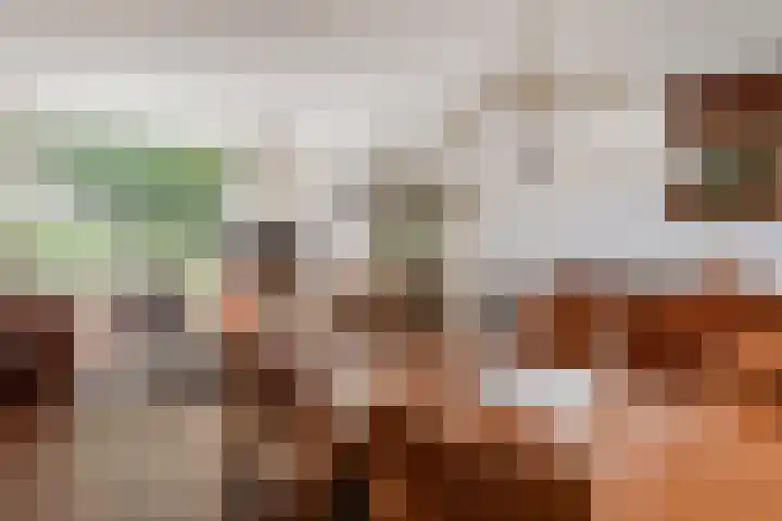 Peregaard 16 Zwaag thumbnail 7