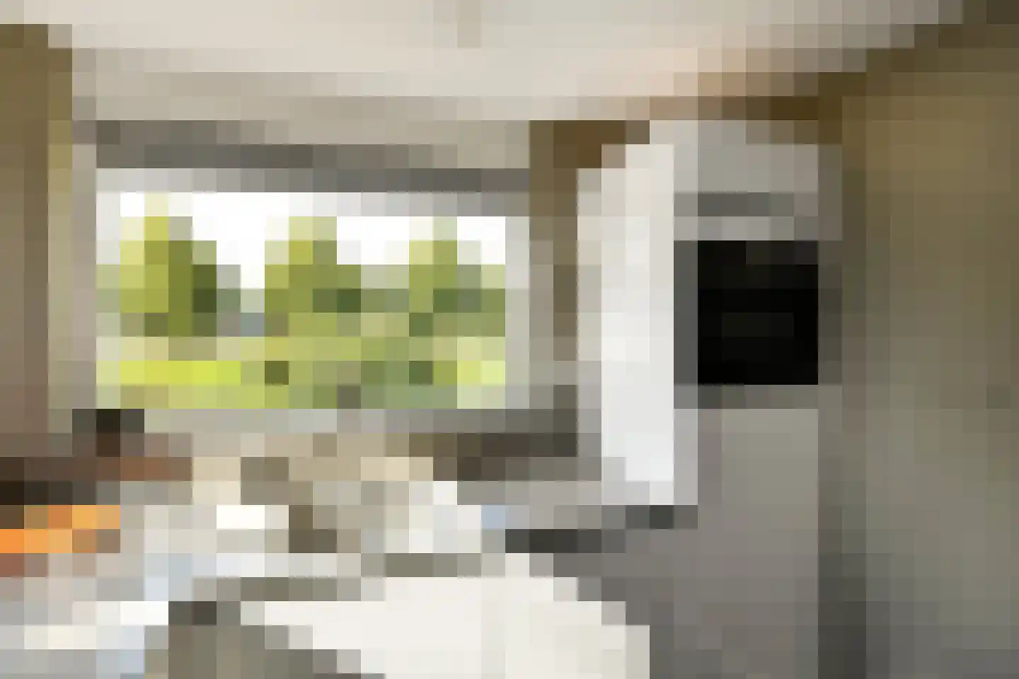 Peregaard 26 Elst thumbnail 10