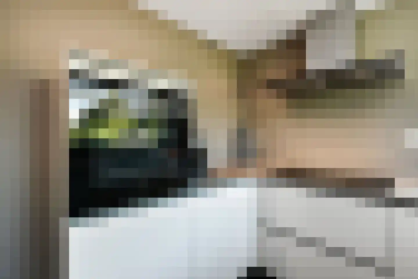 Peregaard 26 Elst thumbnail 12