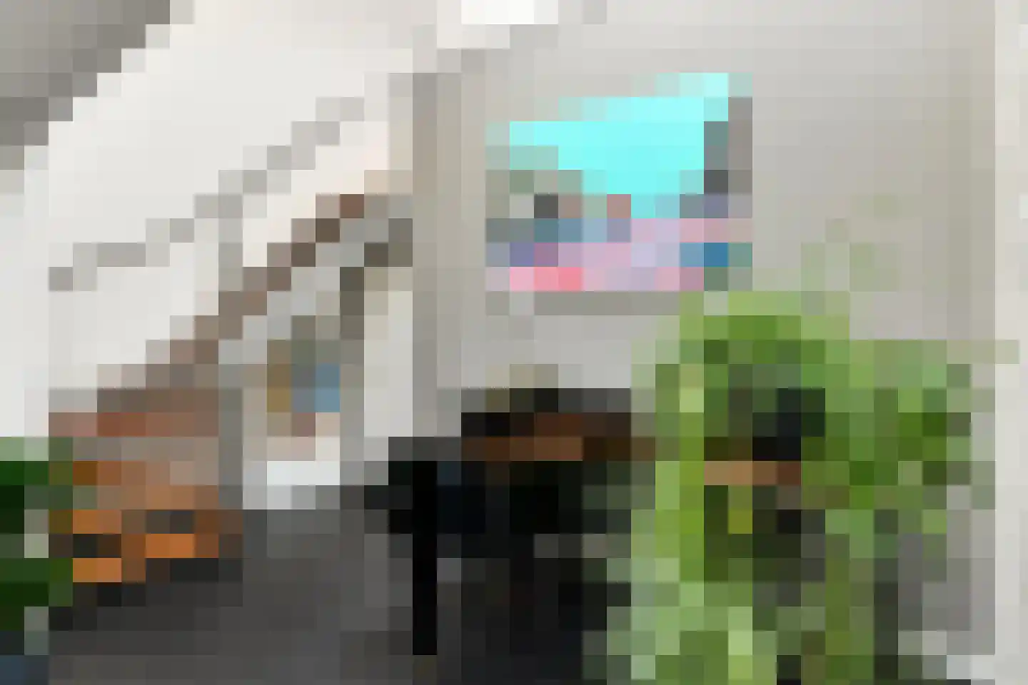 Peregaard 26 Elst thumbnail 14
