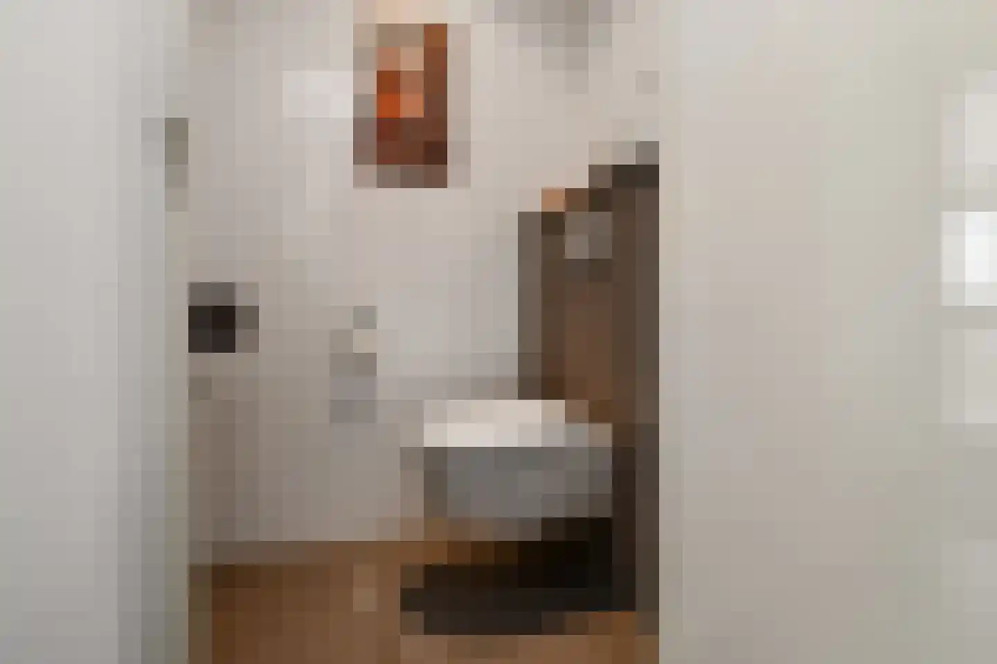 Peregaard 26 Elst thumbnail 18