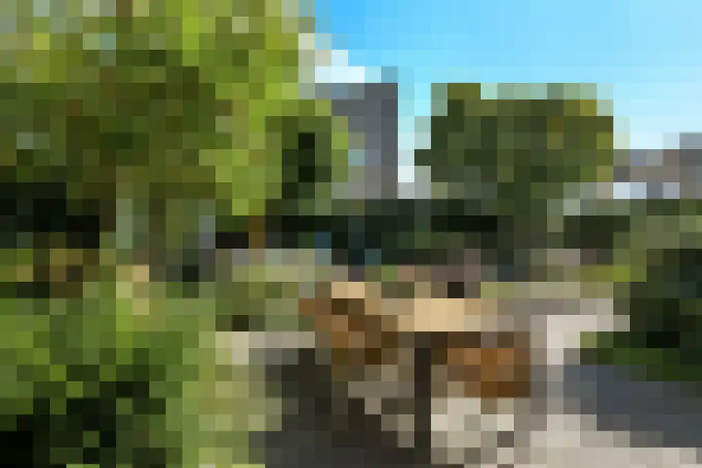 Peregaard 26 Elst thumbnail 46