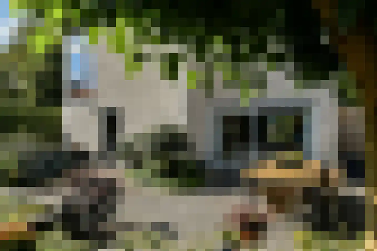 Peregaard 26 Elst thumbnail 49