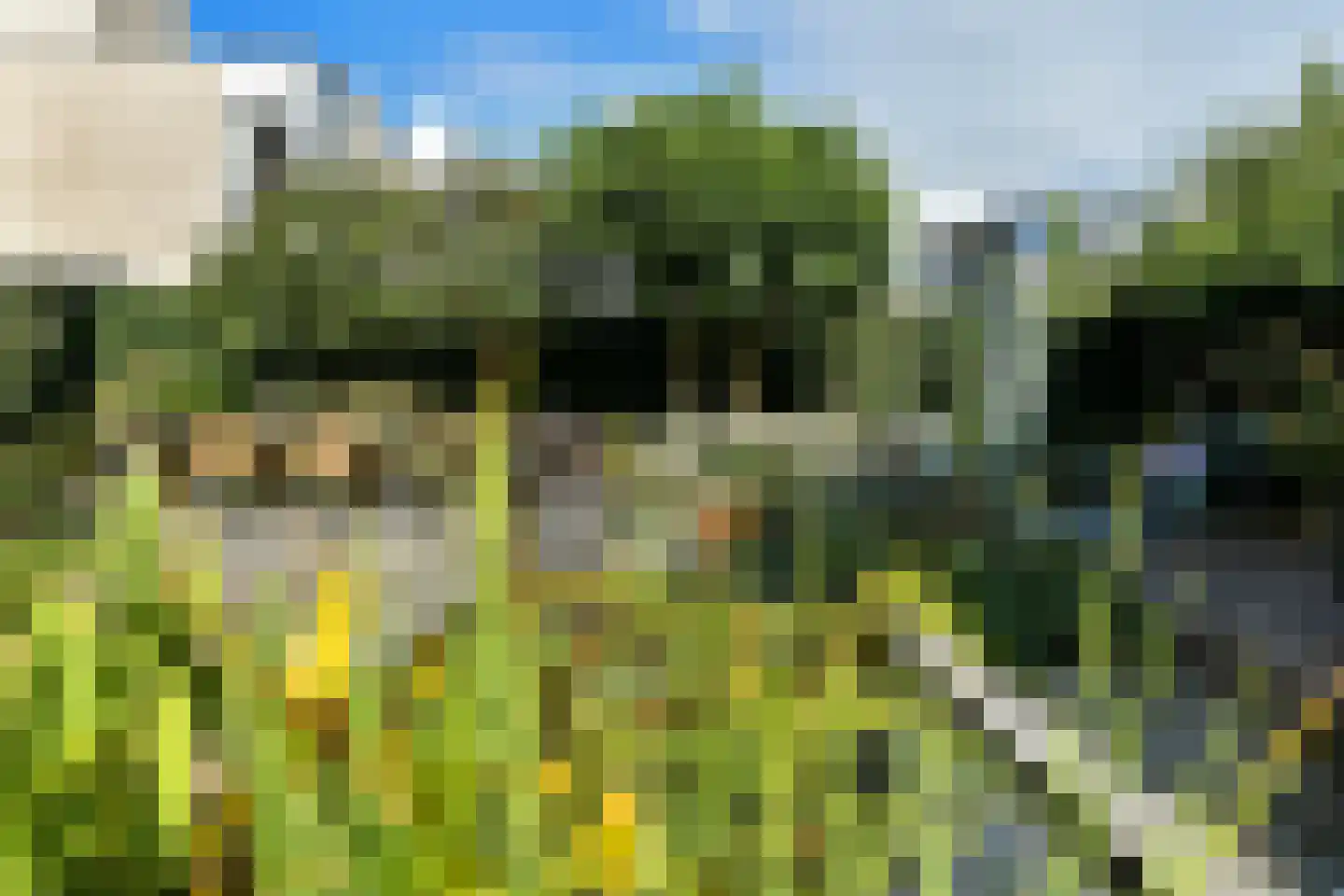 Peregaard 26 Elst thumbnail 50