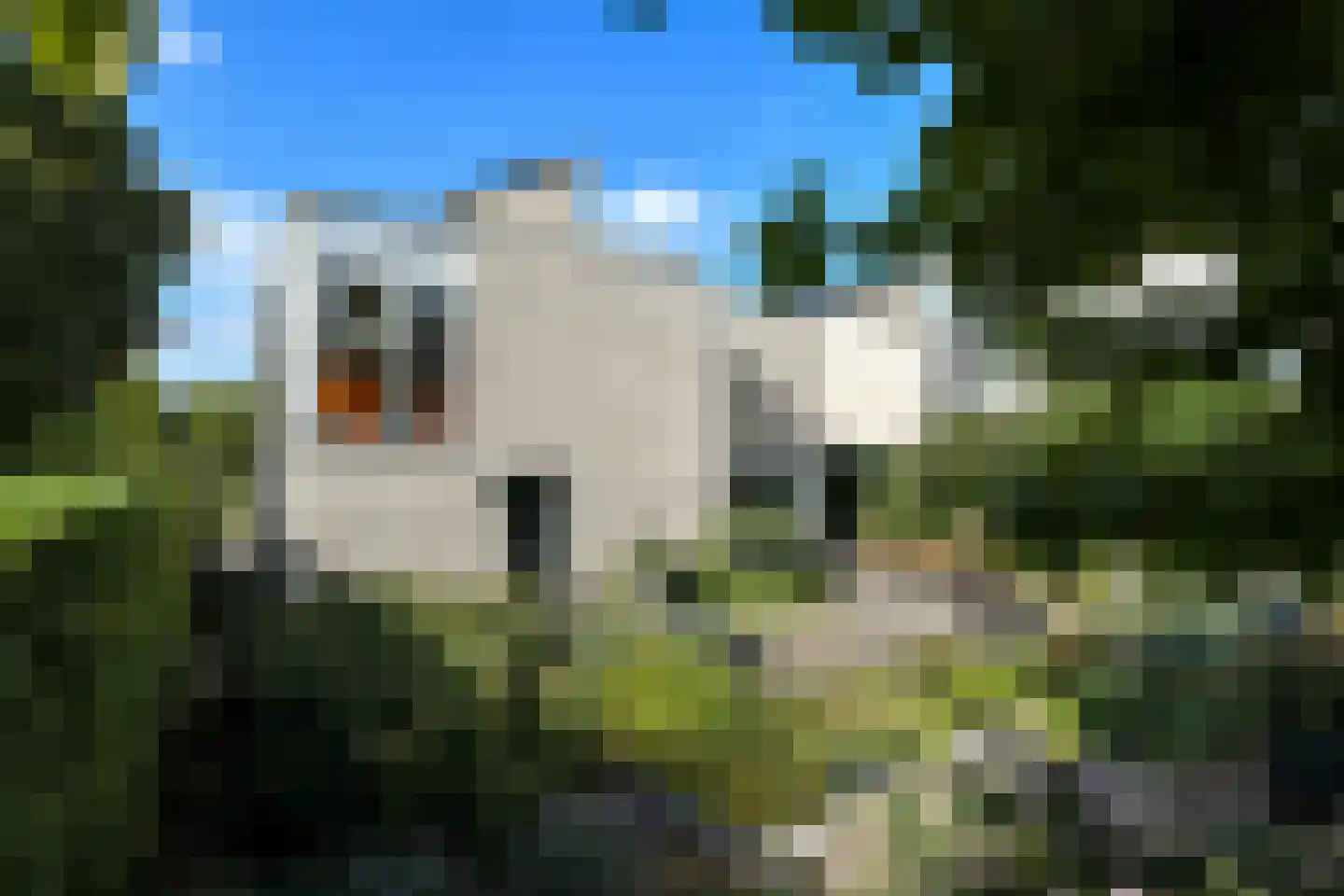 Peregaard 26 Elst thumbnail 55
