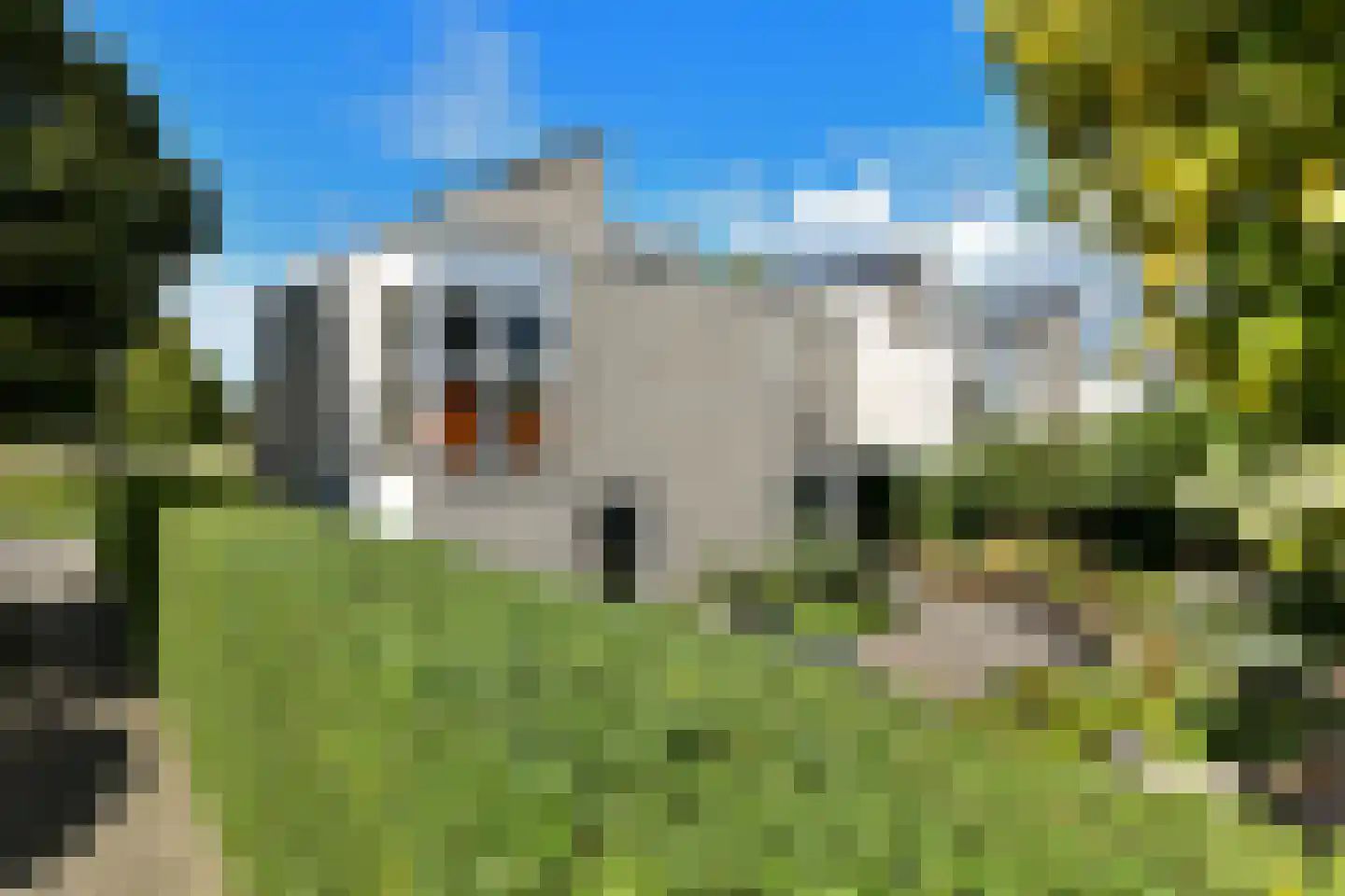 Peregaard 26 Elst thumbnail 56
