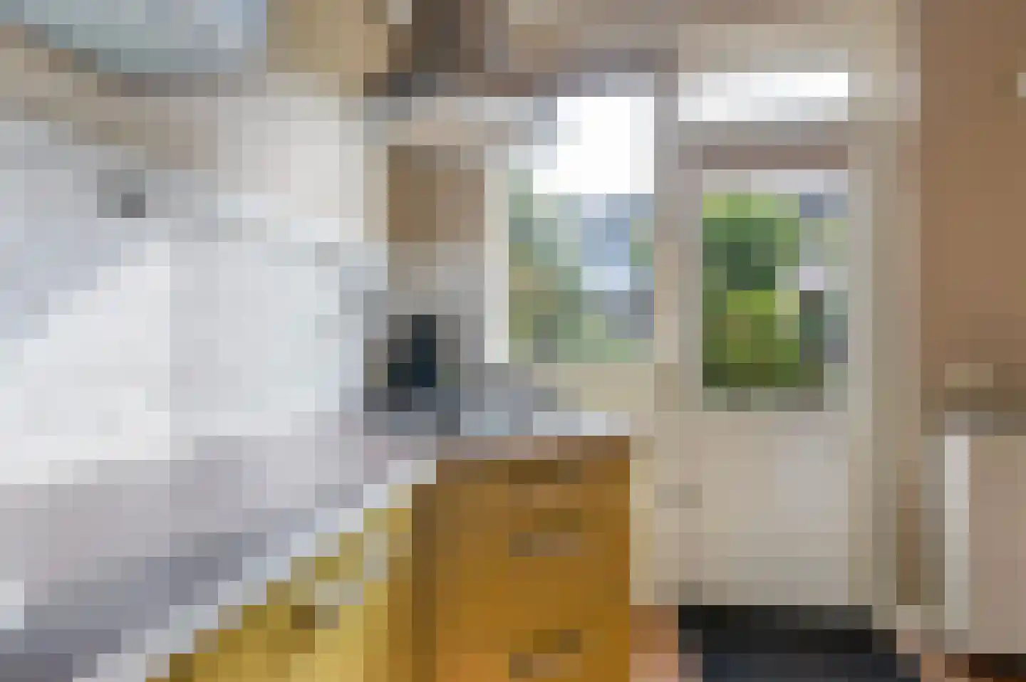 Peregaard 3 Zwaag thumbnail 12