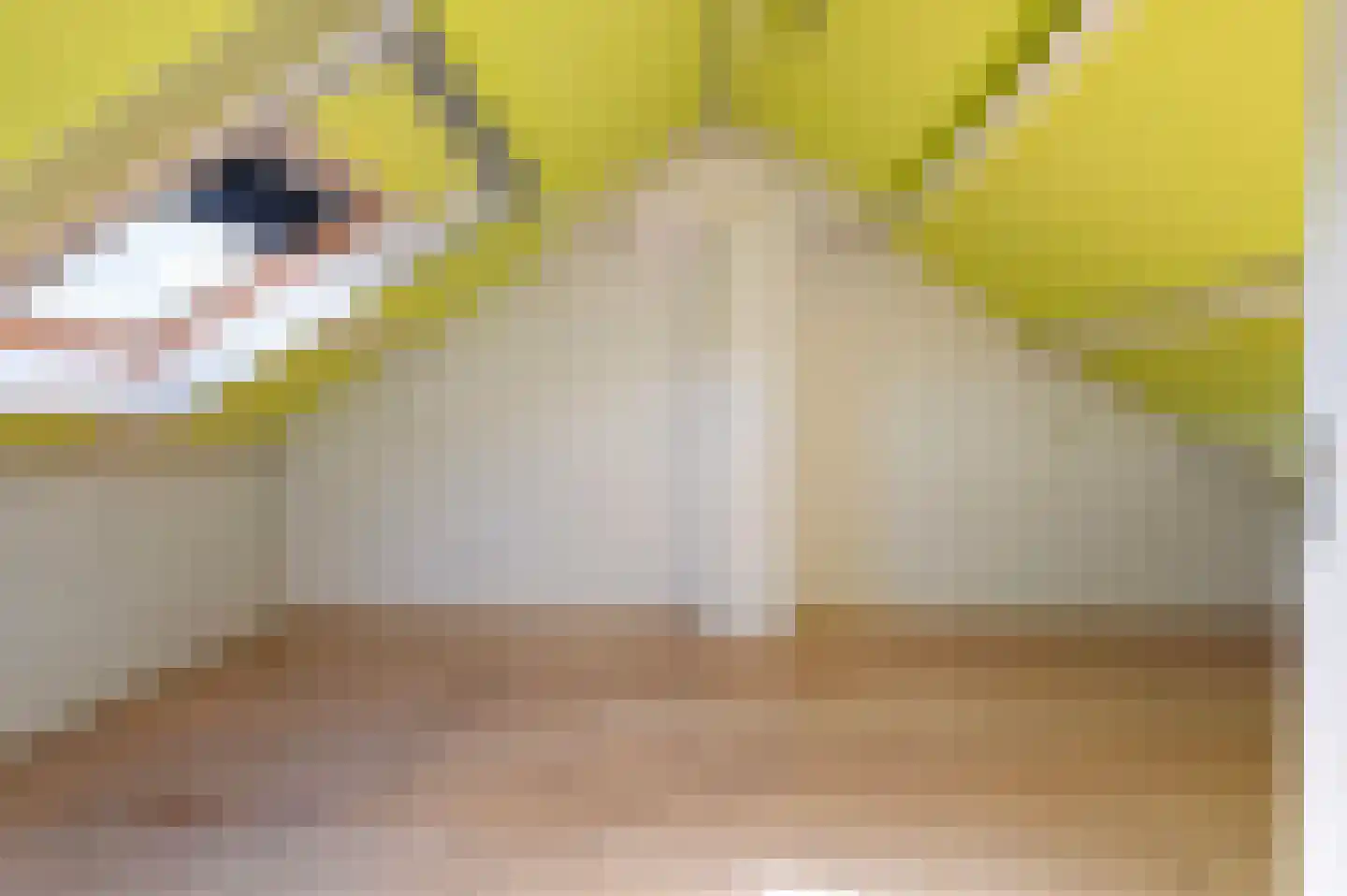 Peregaard 3 Zwaag thumbnail 23