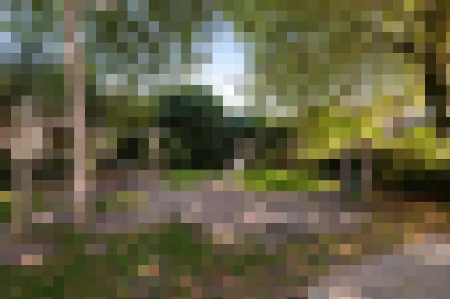 Peregaard 3 Zwaag thumbnail 31