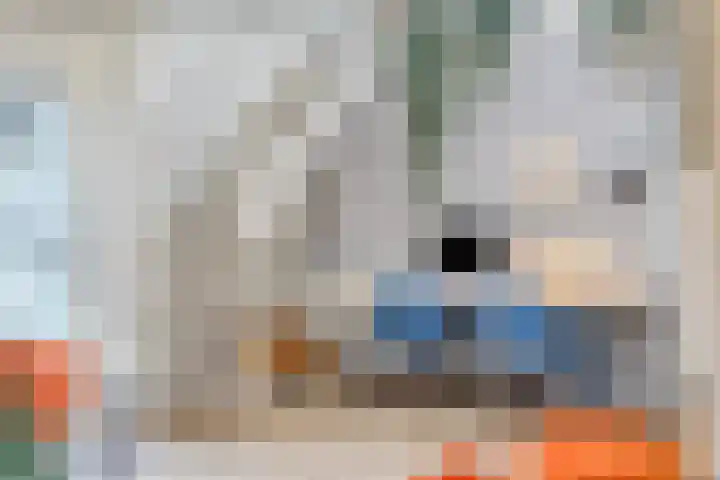 Peregaard 38 Elst thumbnail 29