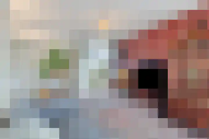 Peregaard 38 Elst thumbnail 36